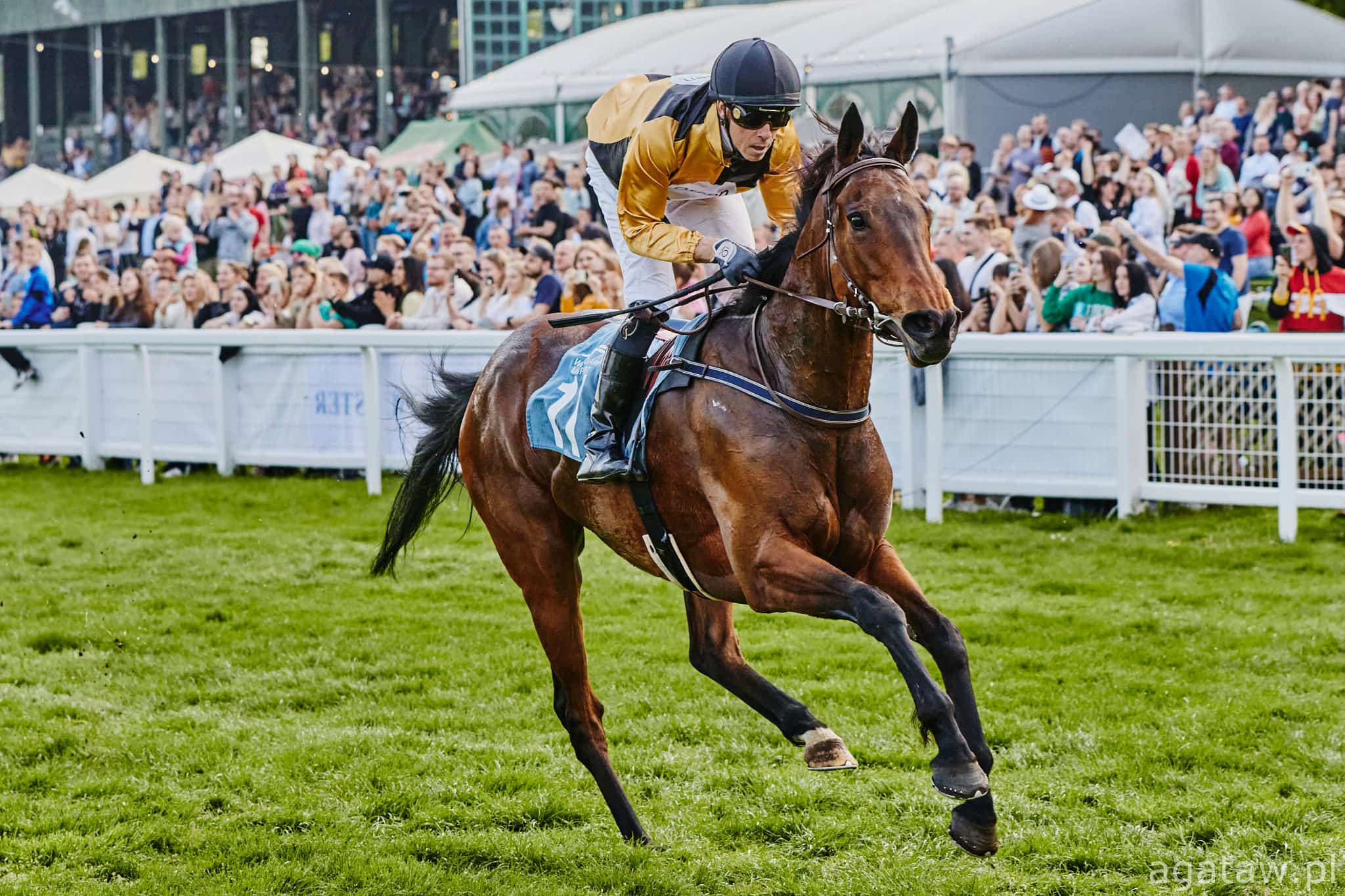 img: Zwyciężczyni Nagrody Konstelacji ścigała się w Listed we Francji