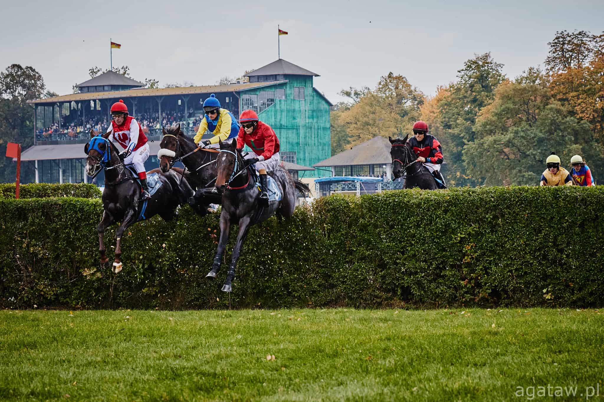 img: Sezon 2022: Niepokonany French Chardonnay