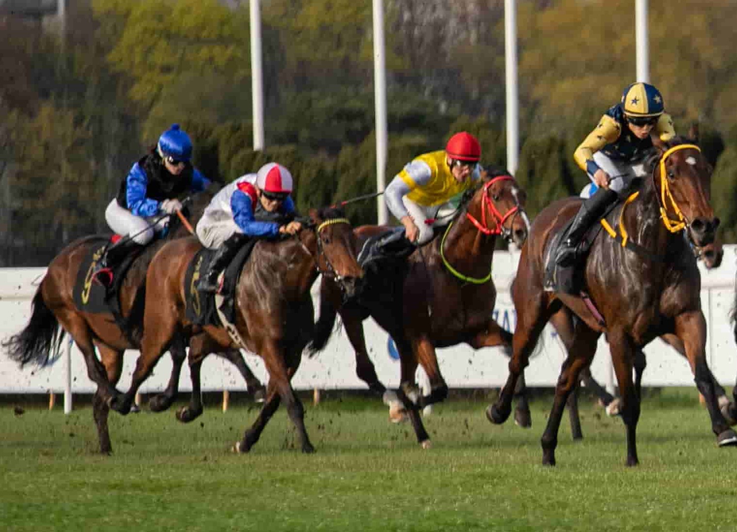 img: Dwa razy drugie, dwa razy trzecie