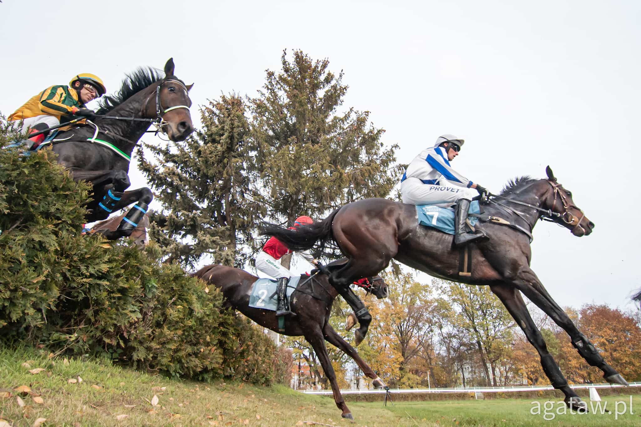 img: Nagroda Zamknięcia Sezonu dla zwycięzcy Wielkiej Wrocławskiej