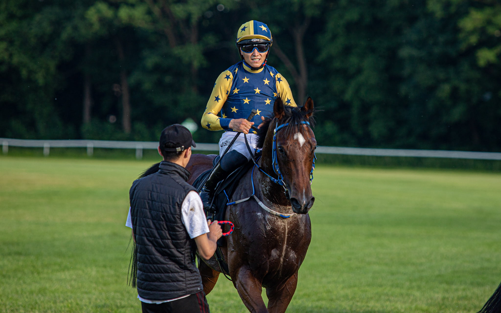 img: Dwa konie z Partynic w gonitwie dnia