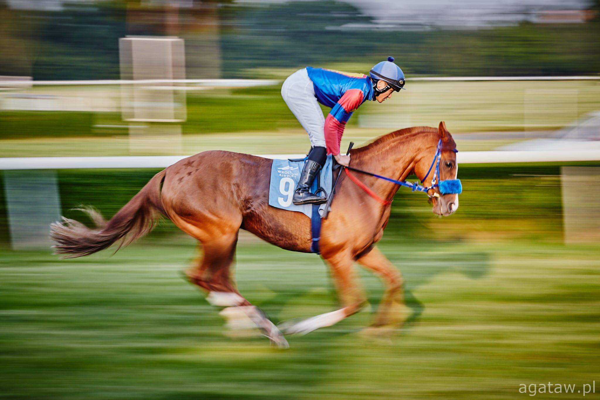 img: Japan Cup dla Japończyków