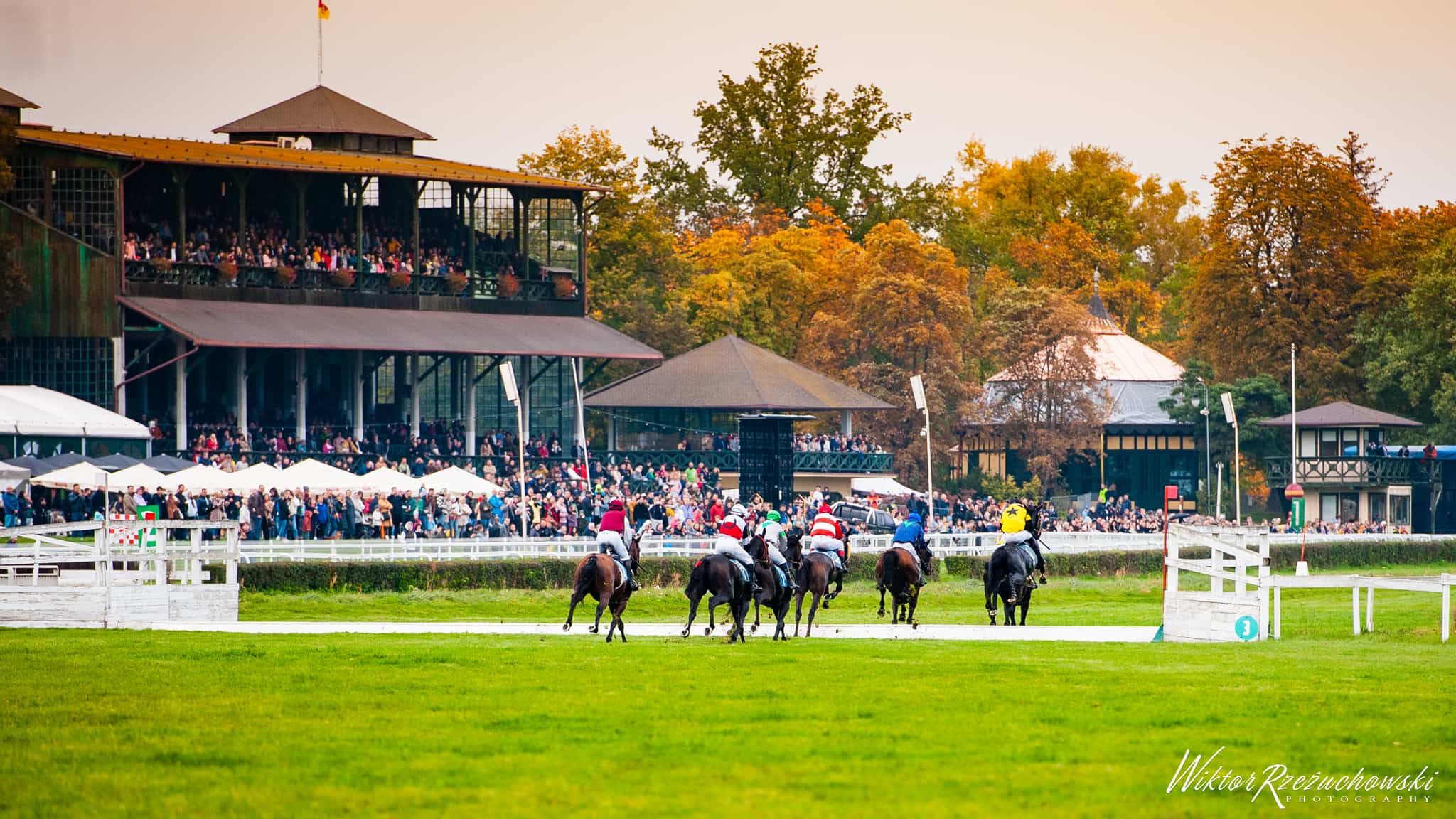 img: Końska dawka emocji na zakończenie sezonu