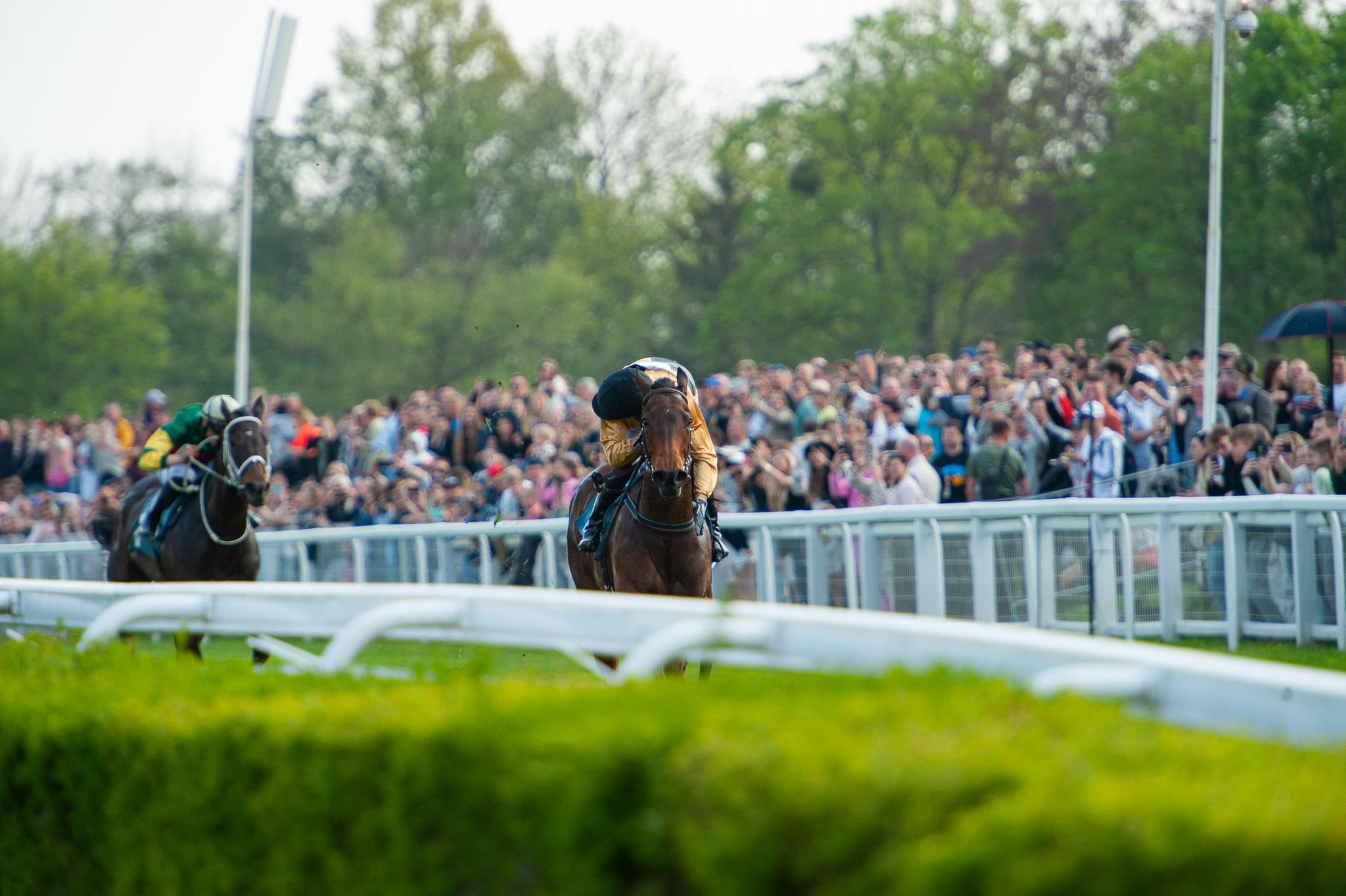 img: Gold Trip wygrywa Melbourne Cup