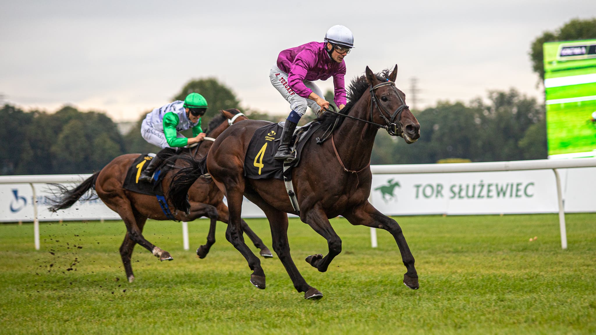 img: Sezon 2022: Dobre wyniki derbowego rocznika