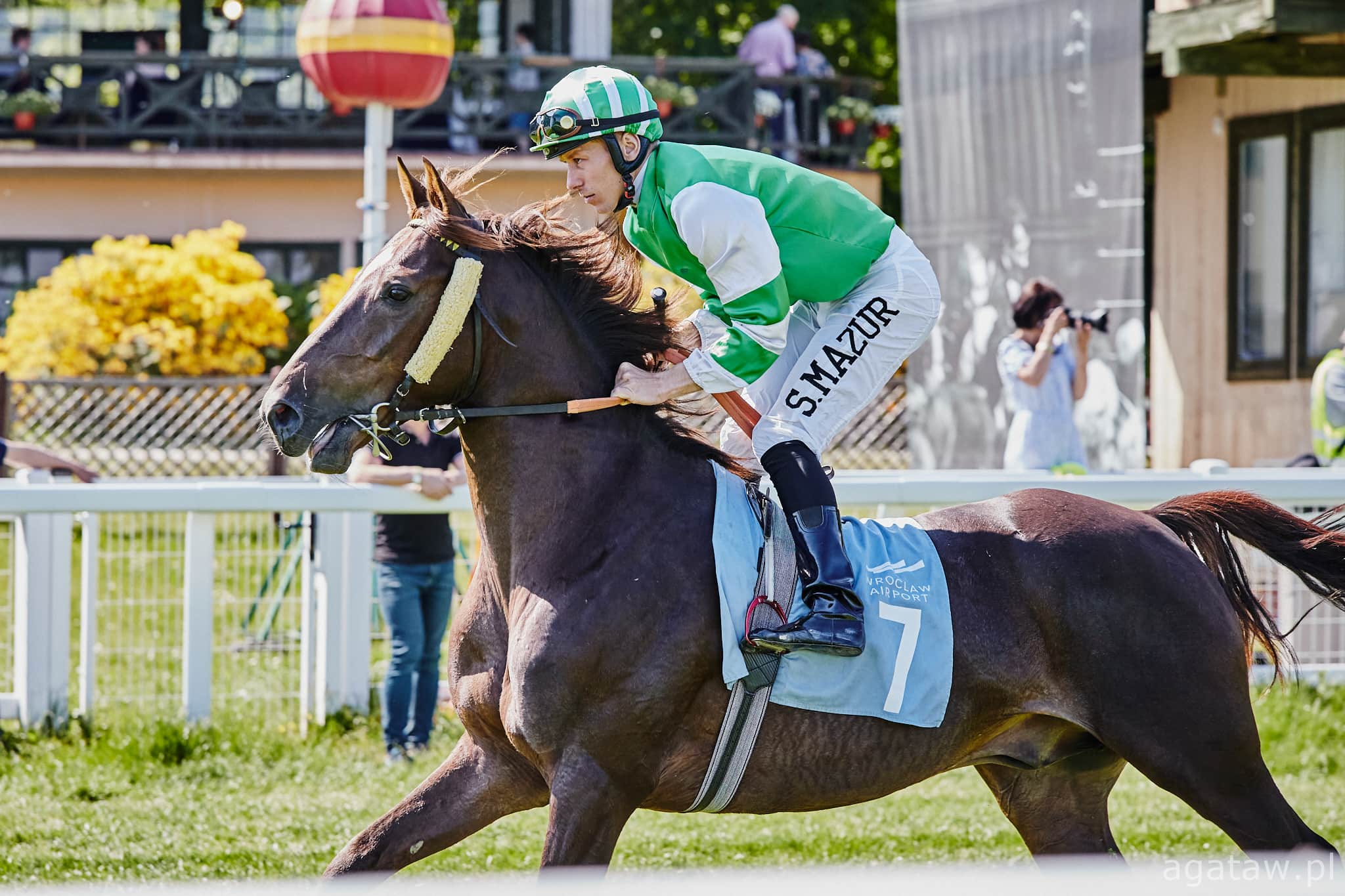 img: Polski dżokej w Derby i Oaks w Katarze