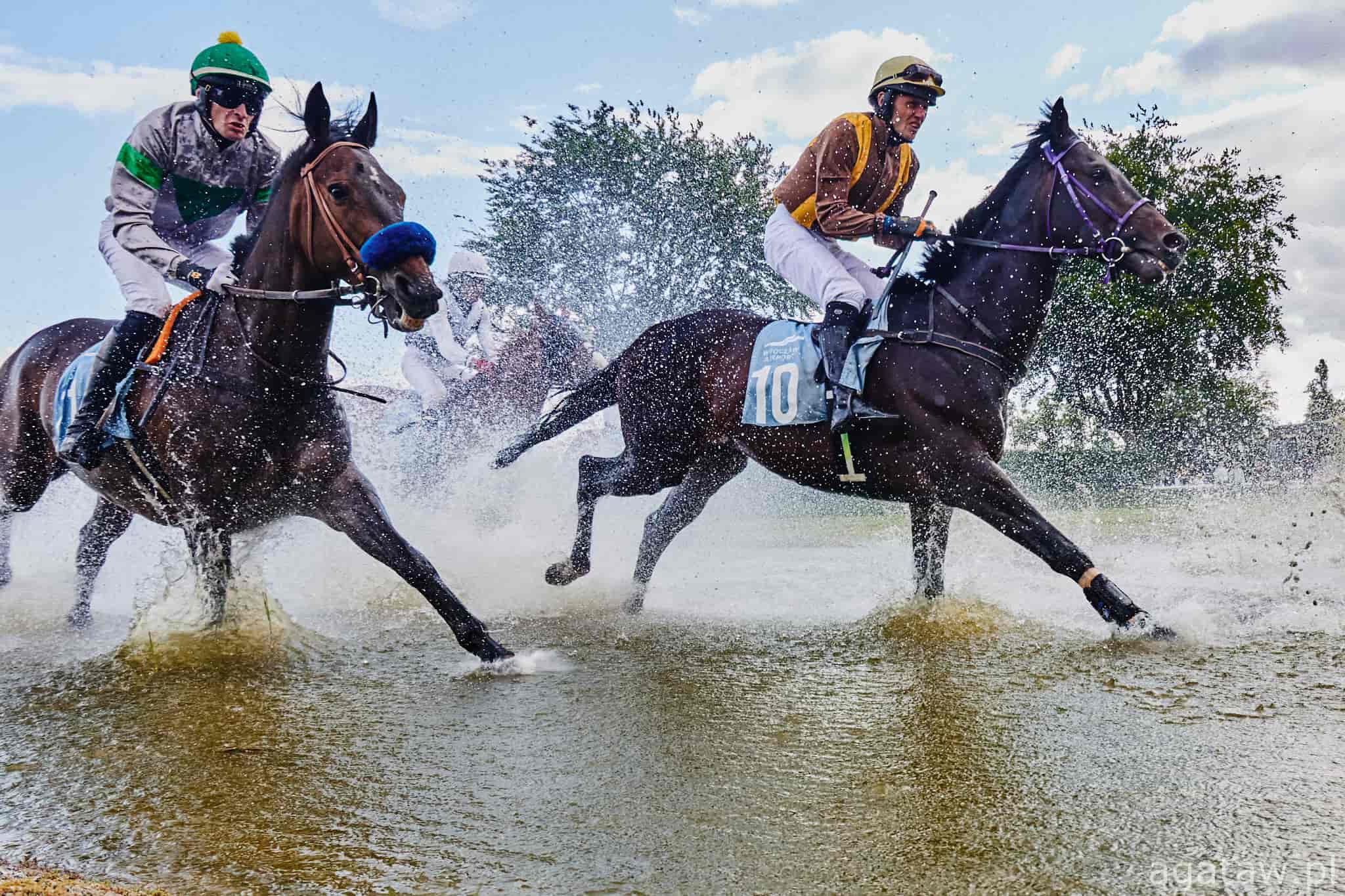 img: Przeszkodowa stawka z doświadczonym Darvilem