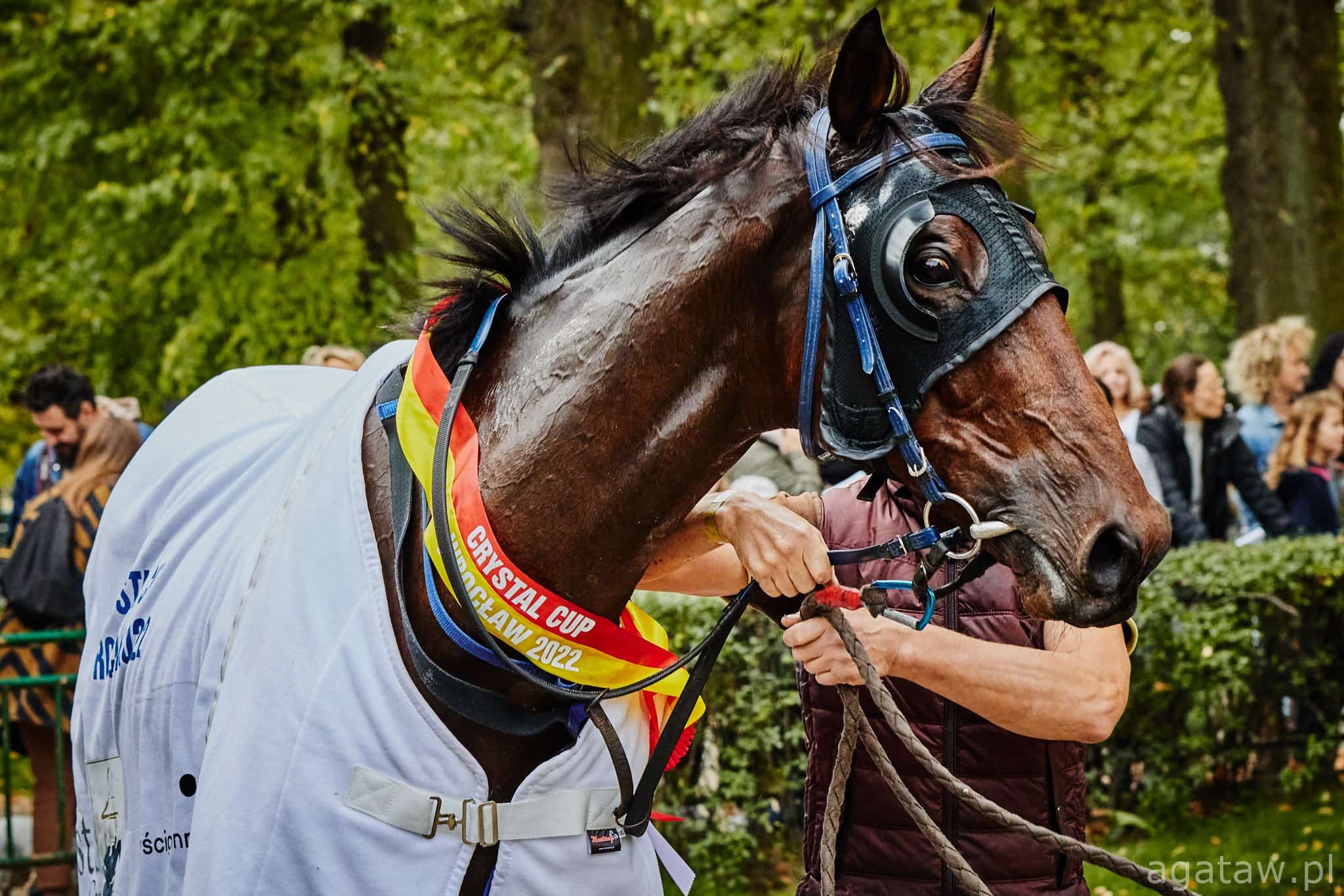 img: Gran Premio Merano na celowniku Haad Rina