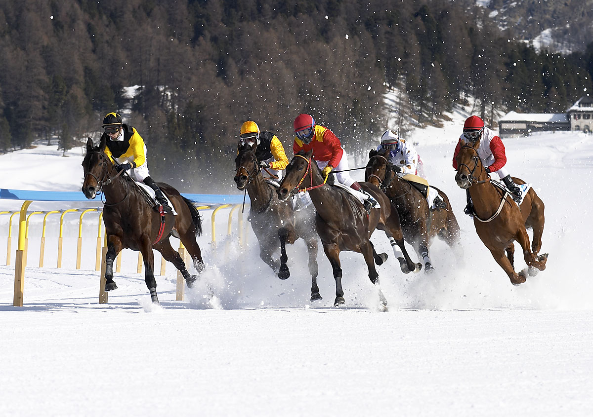 img: Grosser Preis von St. Moritz: W zapisie czołowa trójka z ubiegłego roku