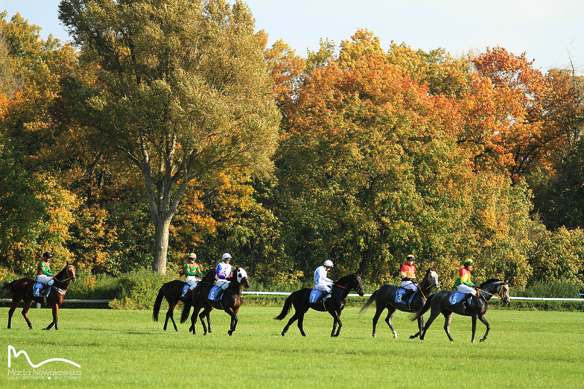 img: Mniej koni w tym roku będzie się ścigać na polskich torach