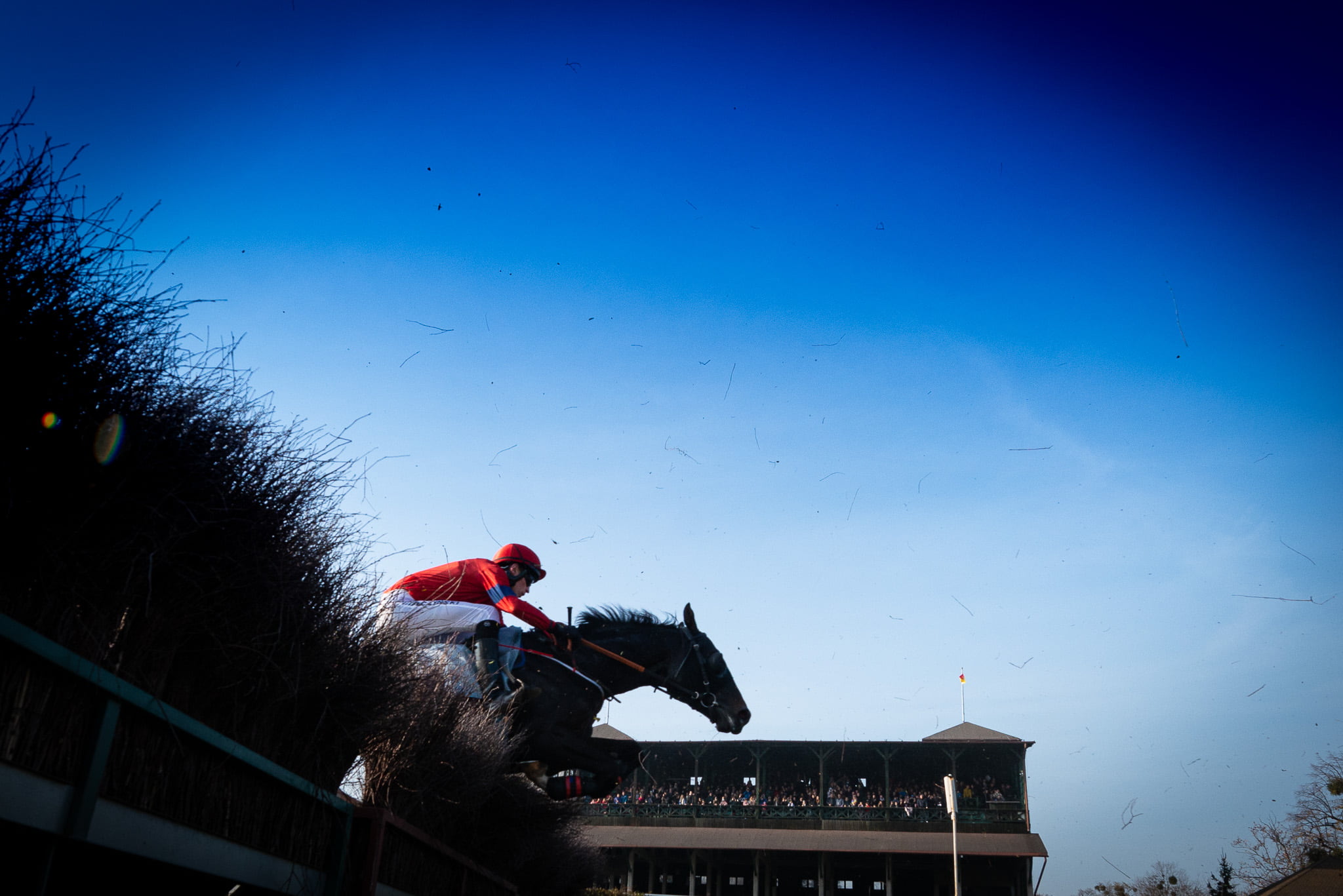 img: Cheltenham Gold Cup: Faworyt nie daje szans