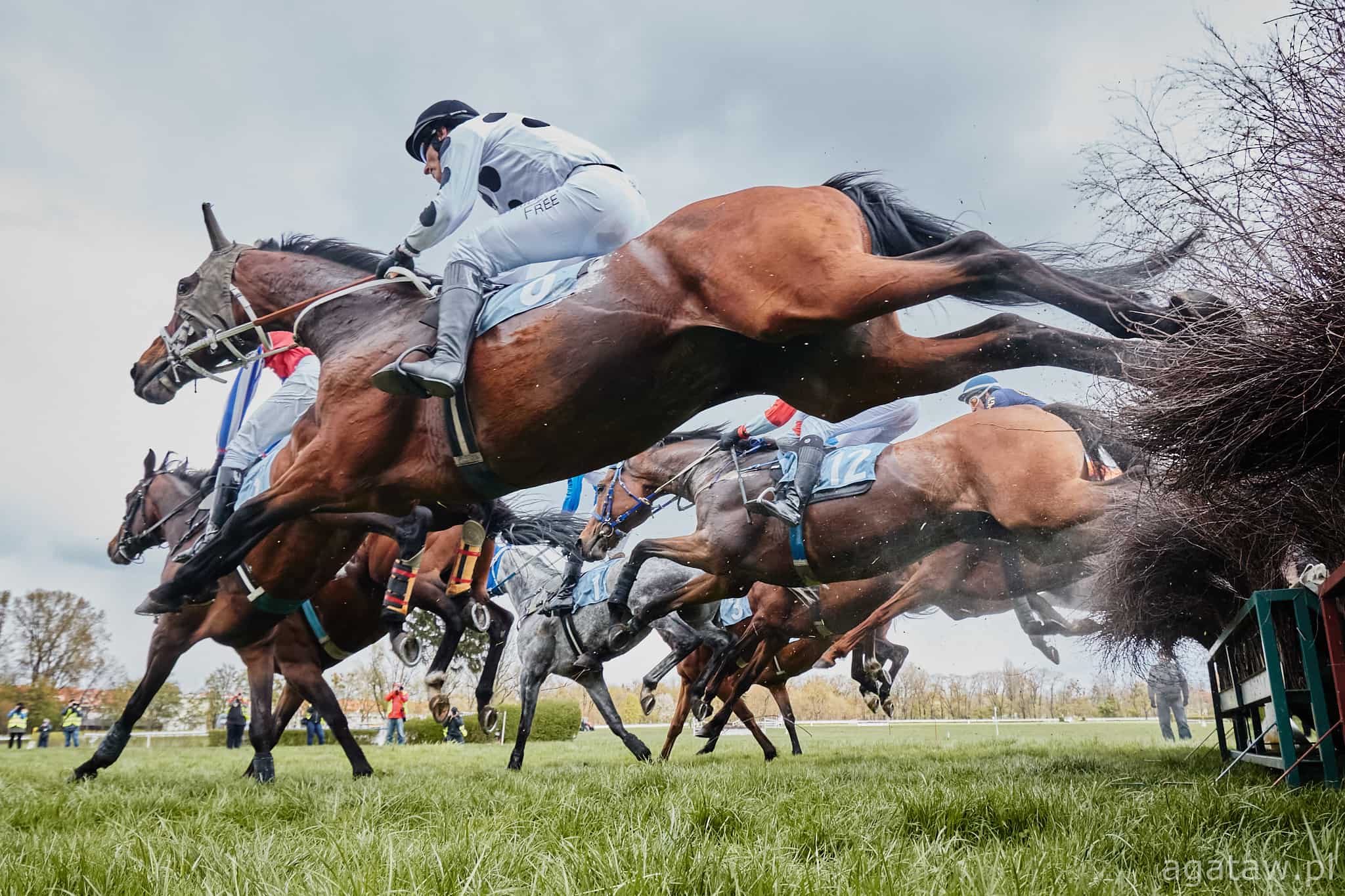 img: Faworyt Corach Rambler wygrał Grand National