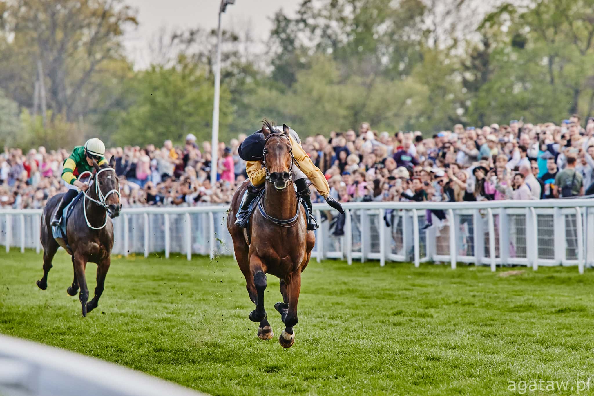 img: Calliepie siódma w Listed na Longchamp