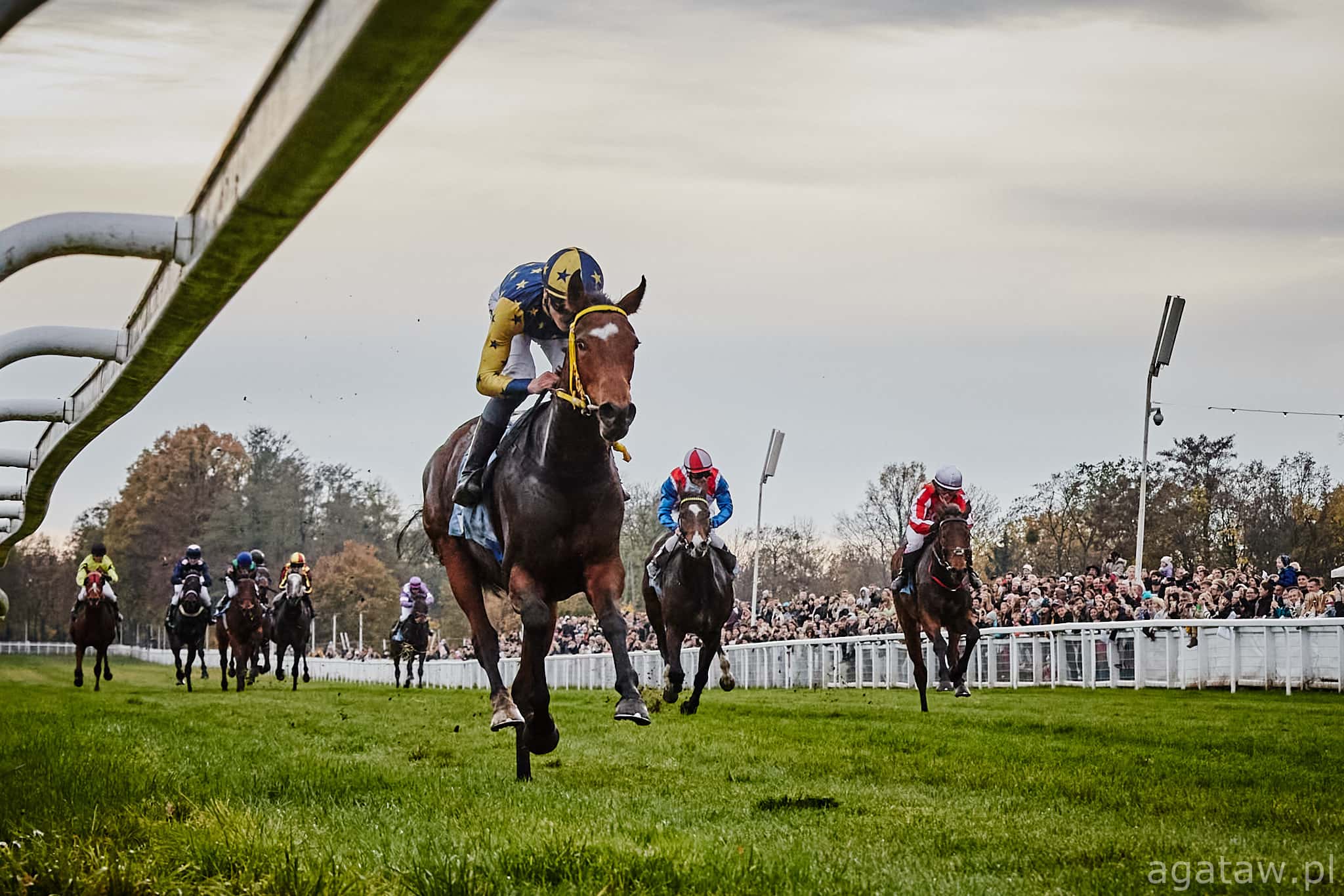 img: Nowa stajnia wyścigowa na Partynicach