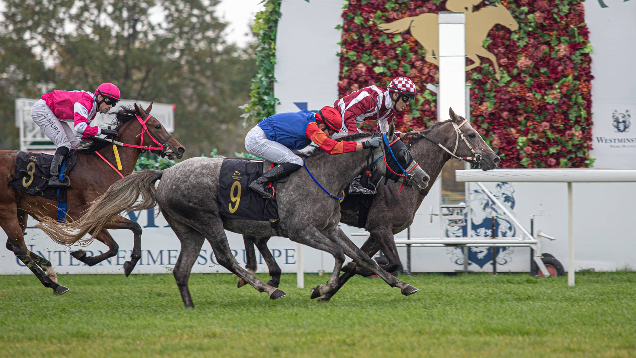 img: Arabska stajnia wyścigowa