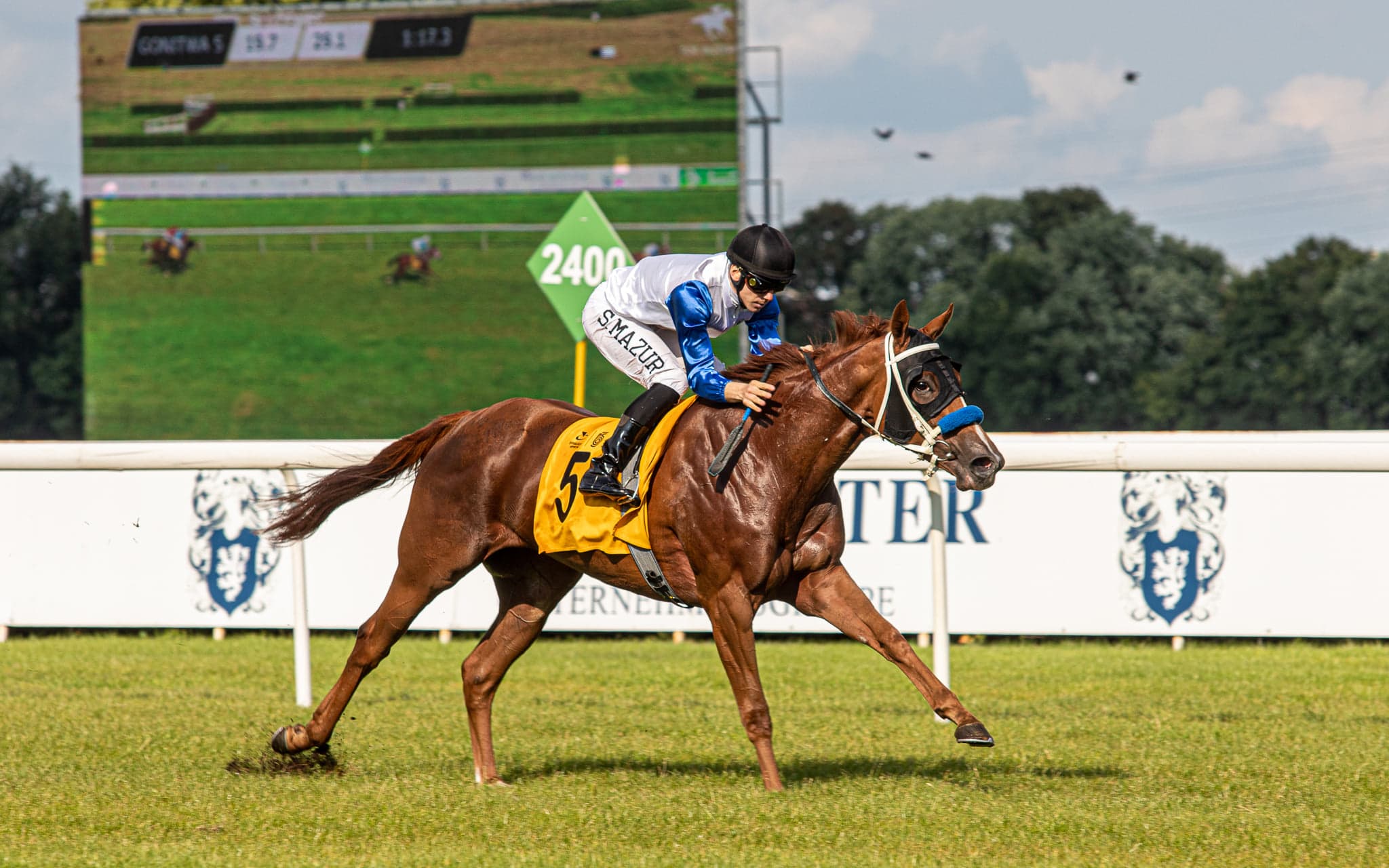 img: Polska majówka na niemieckich torach