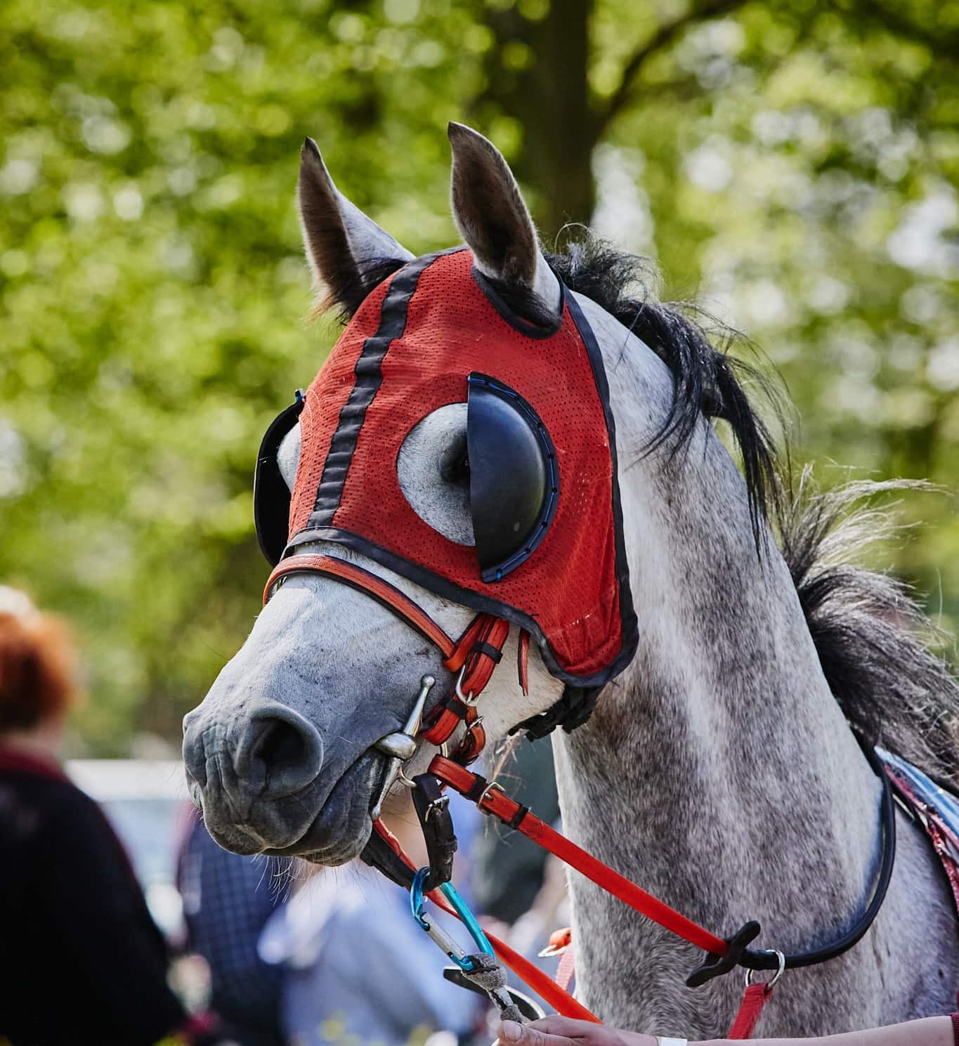 img: Czołówka młodych jeźdźców w gonitwach uczniowskich