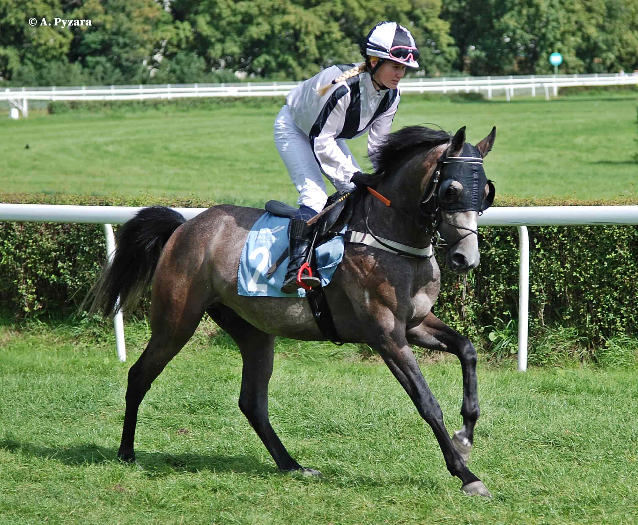 img: Trójka z Partynic na warszawski weekend