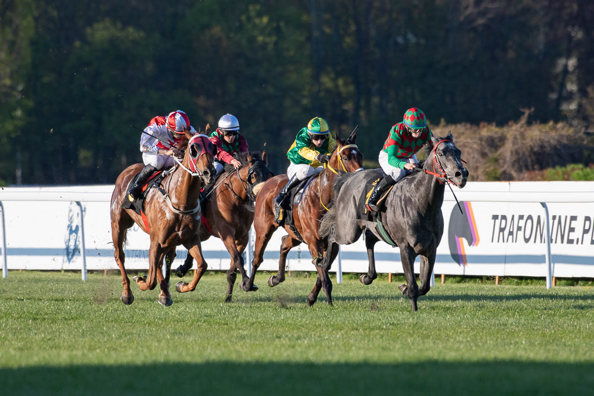 img: Boy Charlton z Partynic na Turf Gali w Bratysławie
