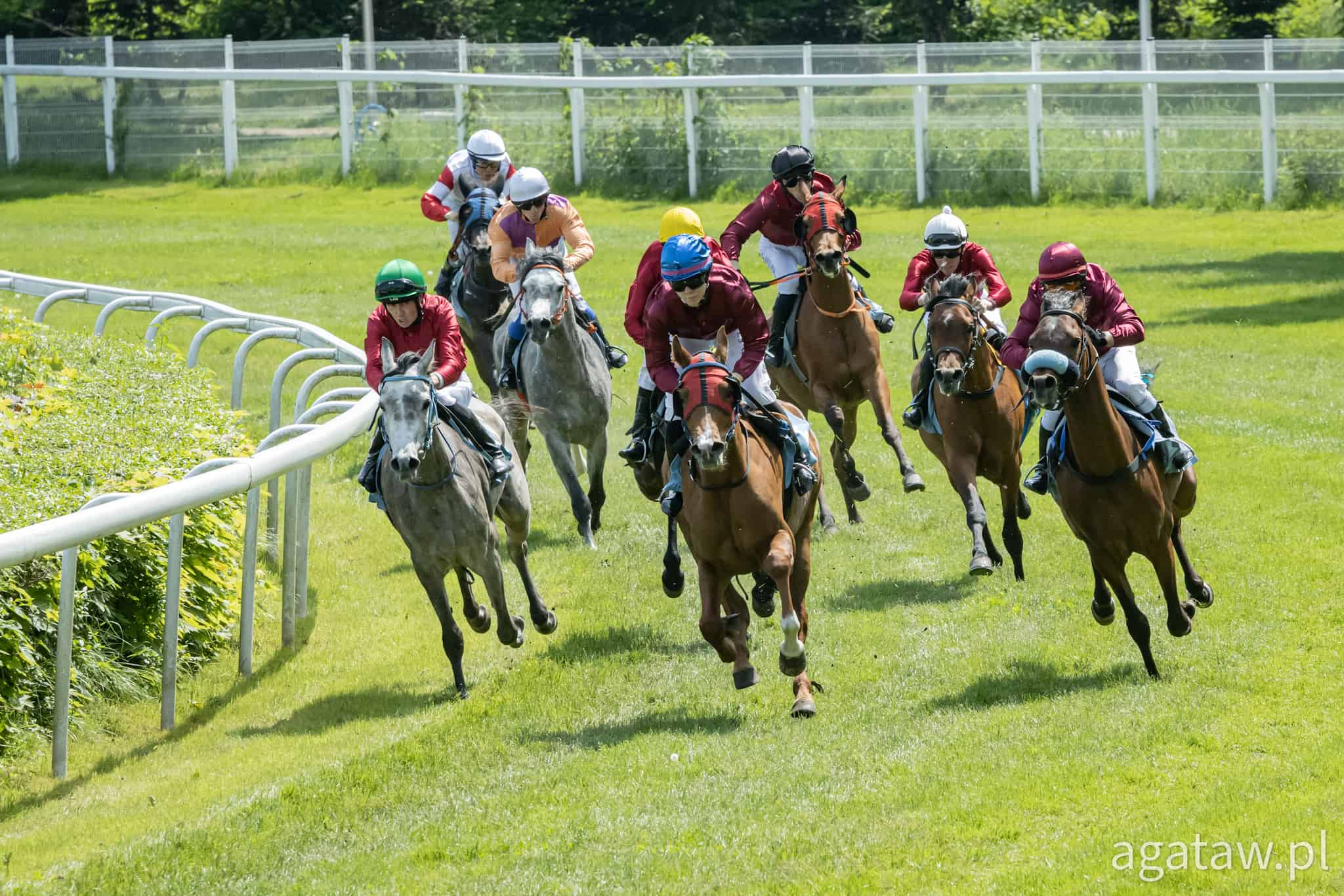 img: Dobre występy młodych jeźdźców