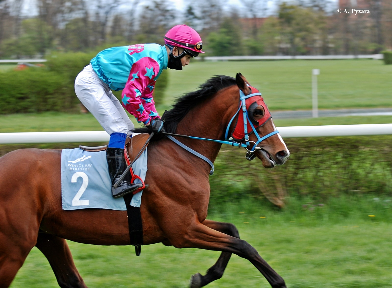 img: Weekend na Służewcu: Dwójka z Partynic i pierwsze klasyki