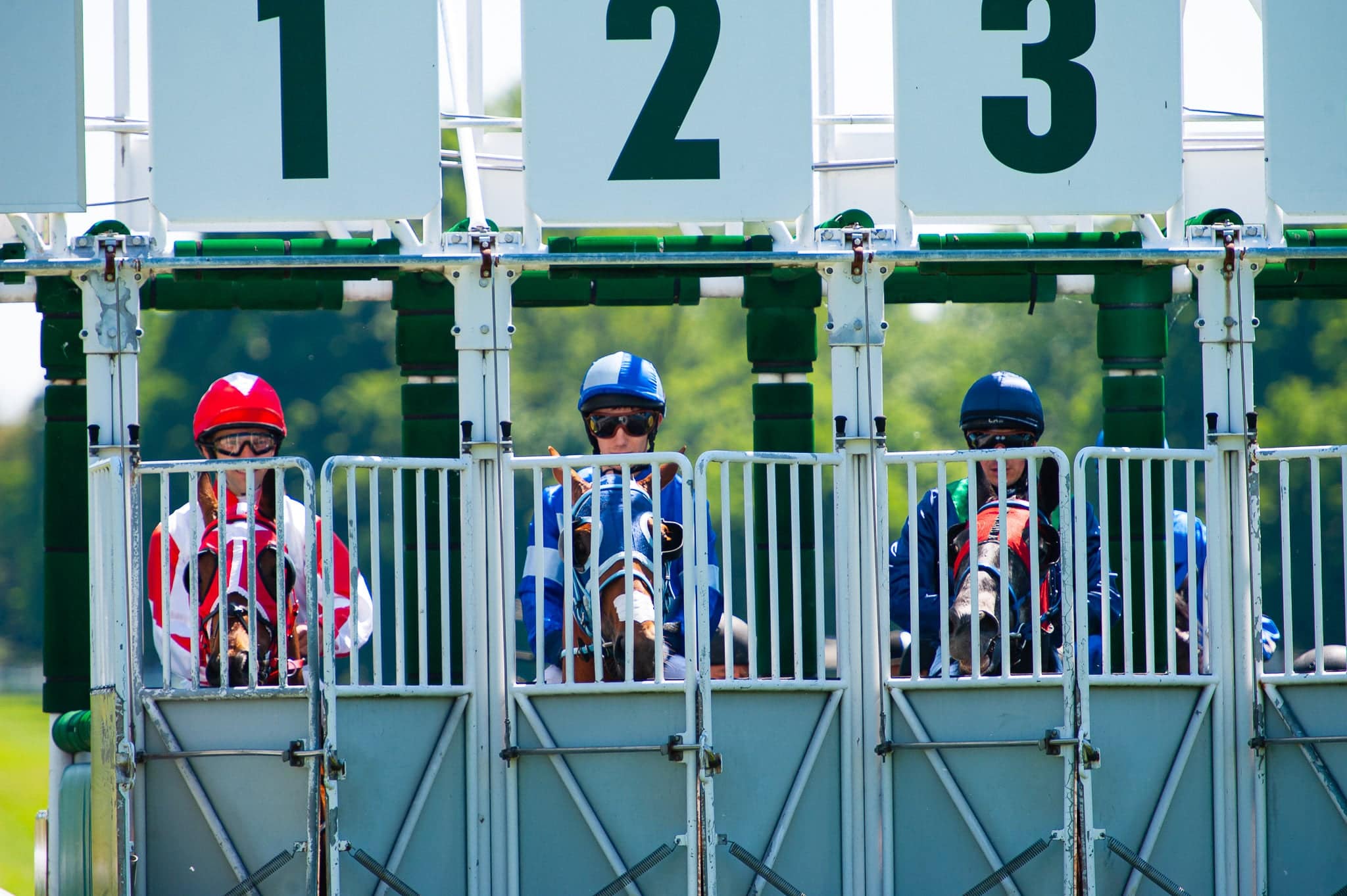 img: Trzy zwycięstwa w trzech startach – Lady Ewelina wciąż niepokonana