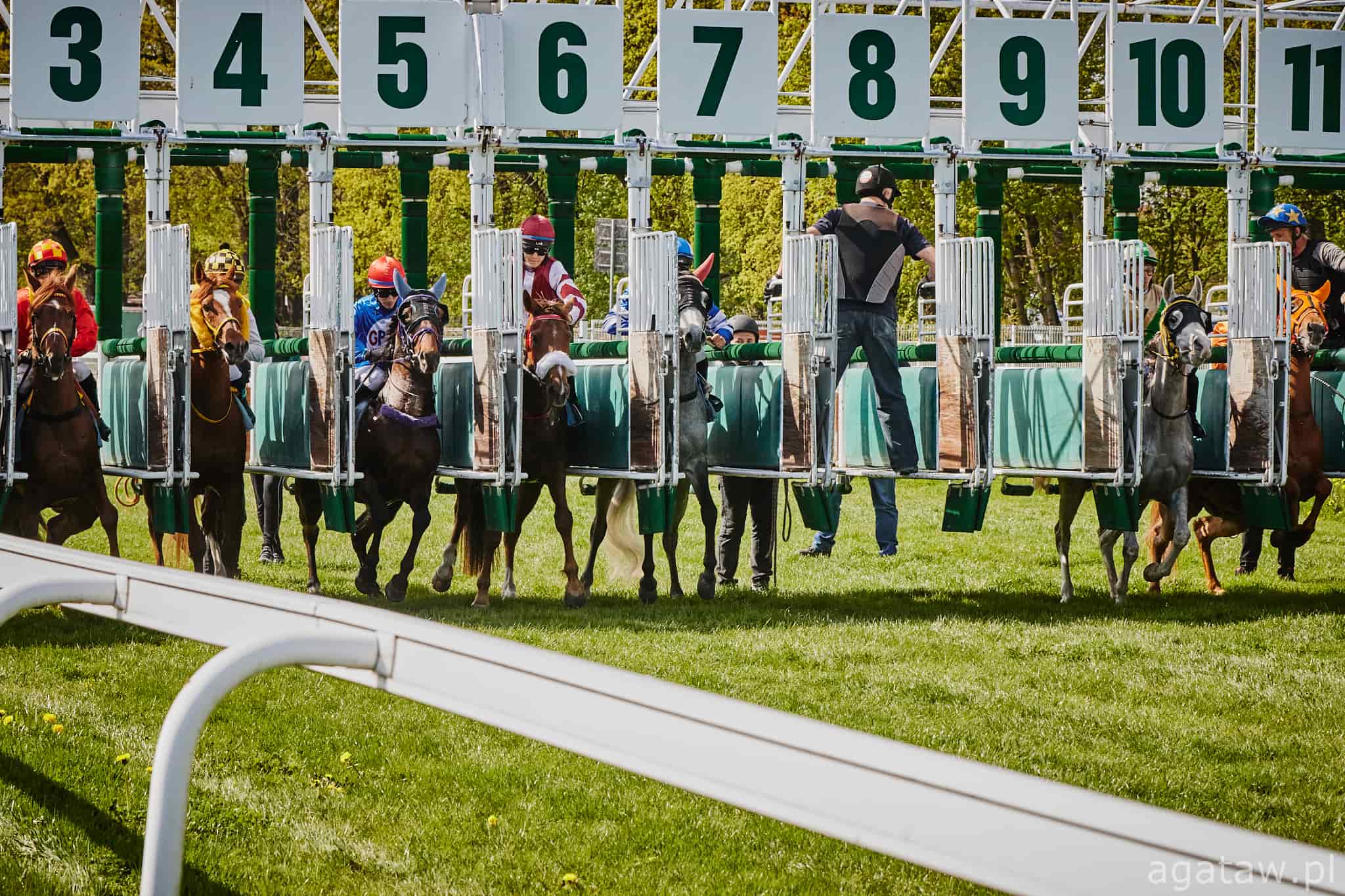 img: Główne gonitwy z partynickimi końmi