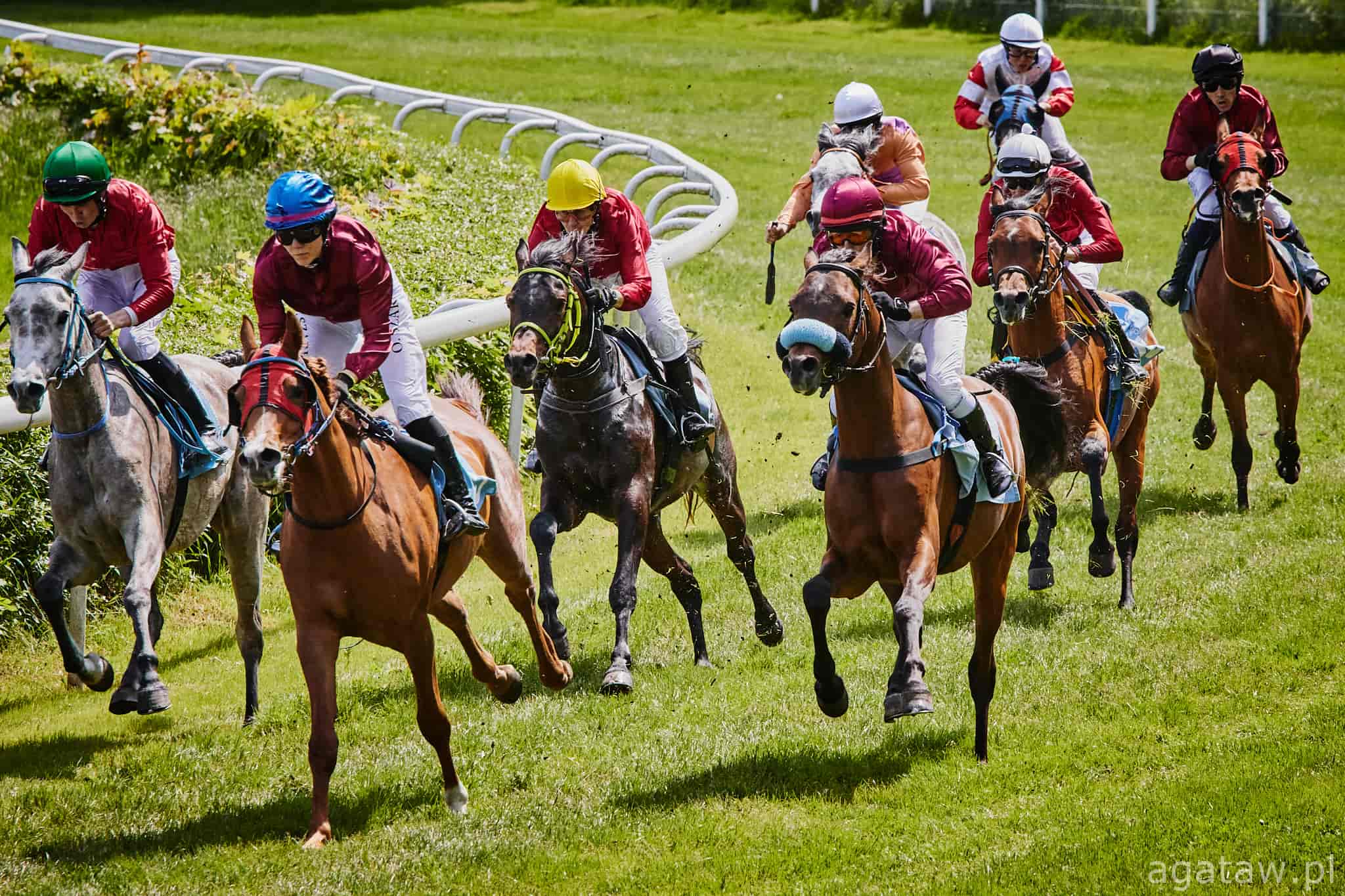 img: Piątka z Partynic w Nagrodzie Gangesa