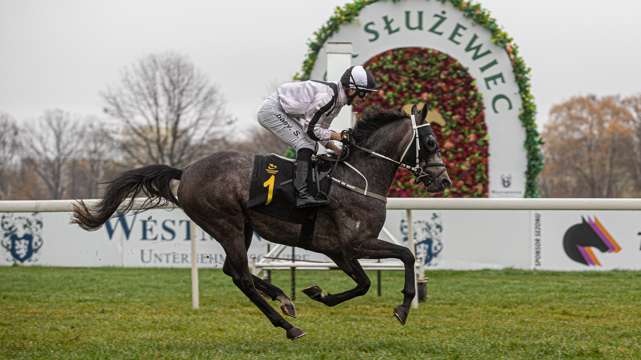 img: Partynickie konie w prestiżowych gonitwach na Służewcu