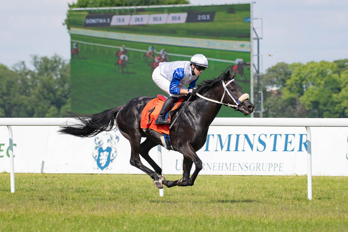 img: Niespodziewani zwycięzcy przedderbowych sprawdzianów