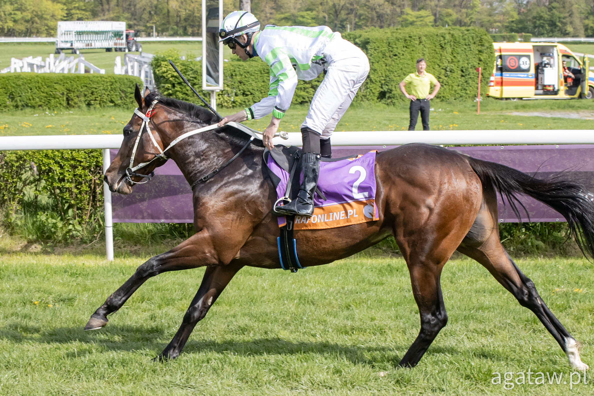 img: Konie z Partynic w Derby 2023: Green Clover