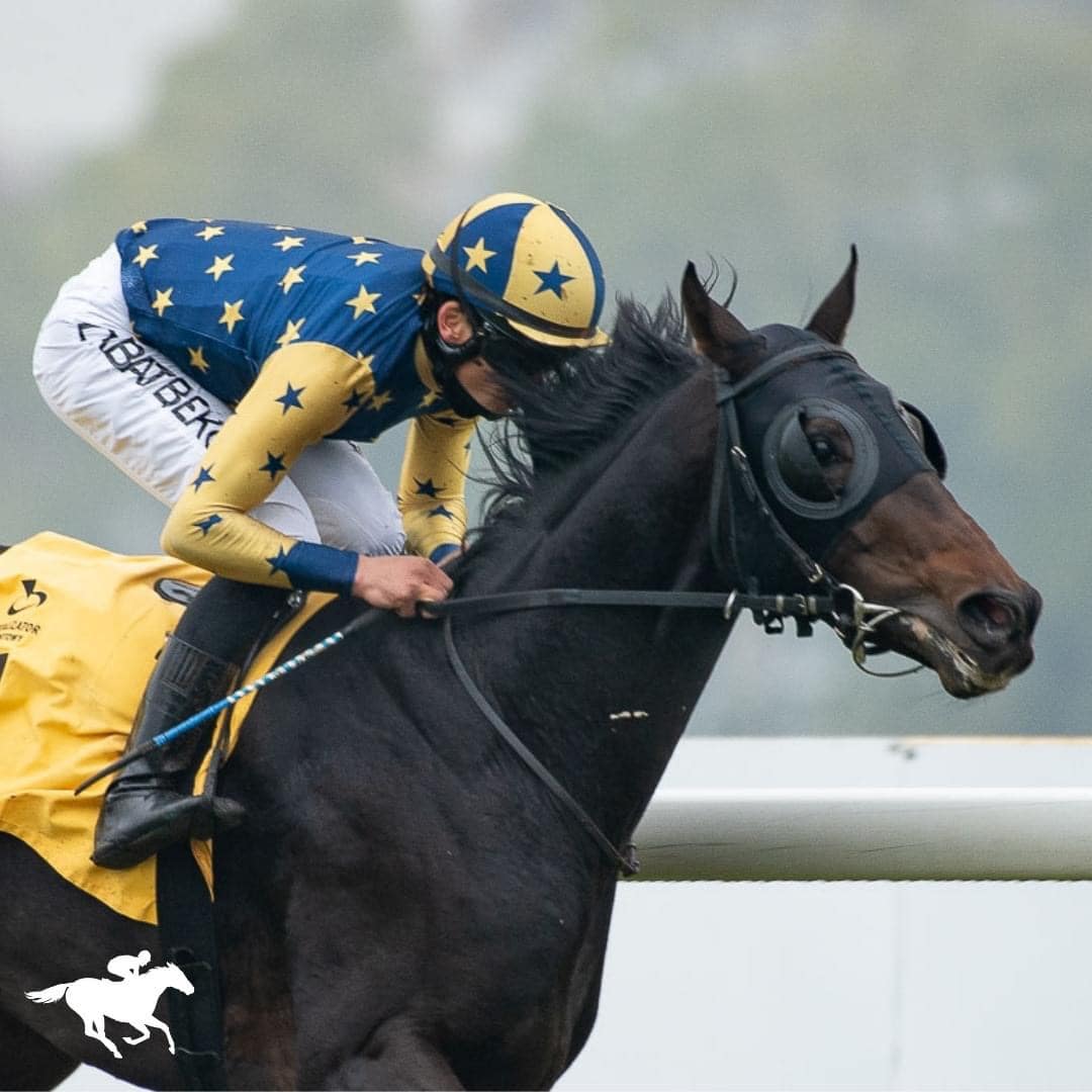 img: Hipop de Loire drugi w Hamburgu… a mogło być lepiej