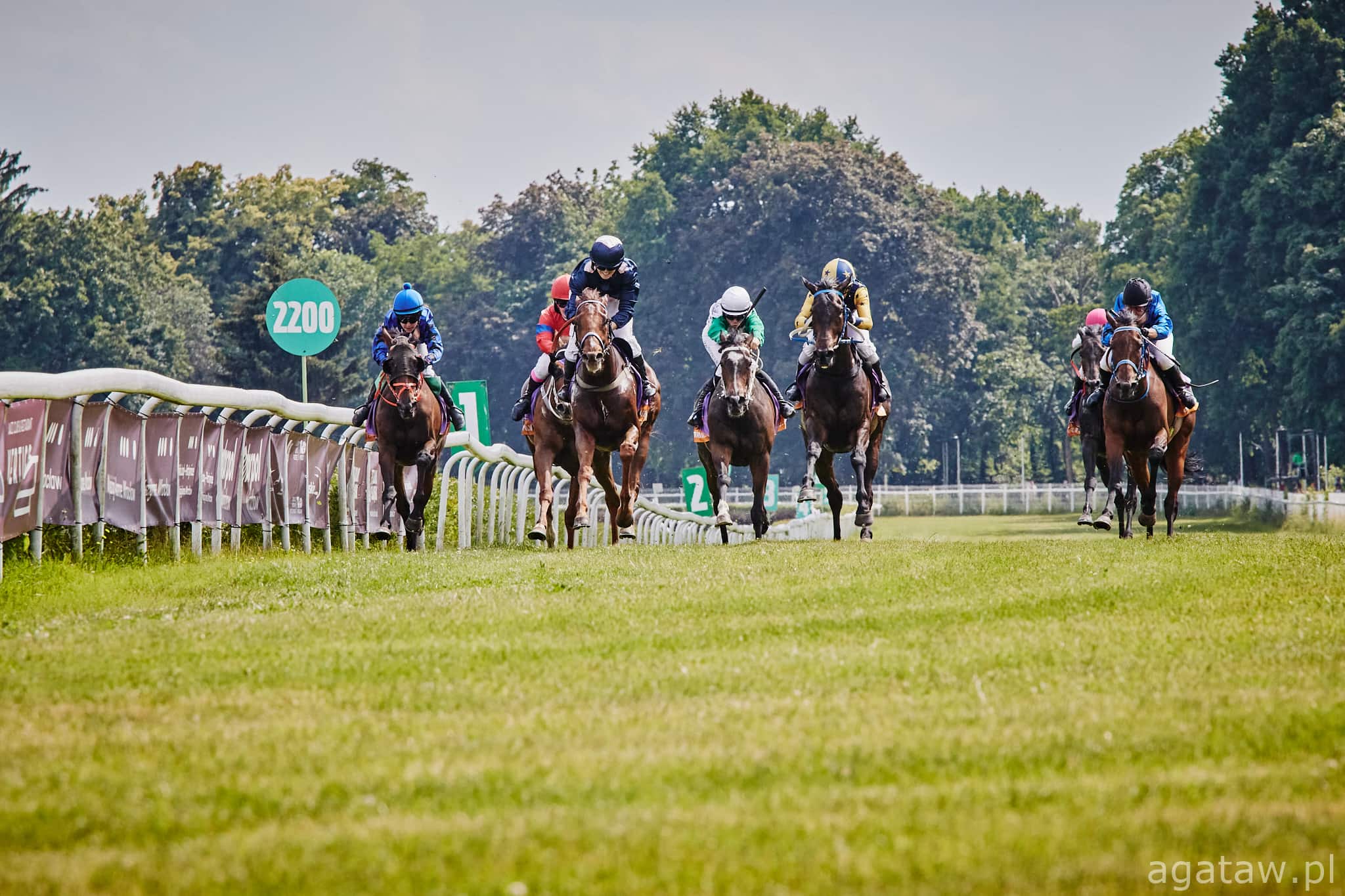img: Wyścigowy finał na torze w Sopocie