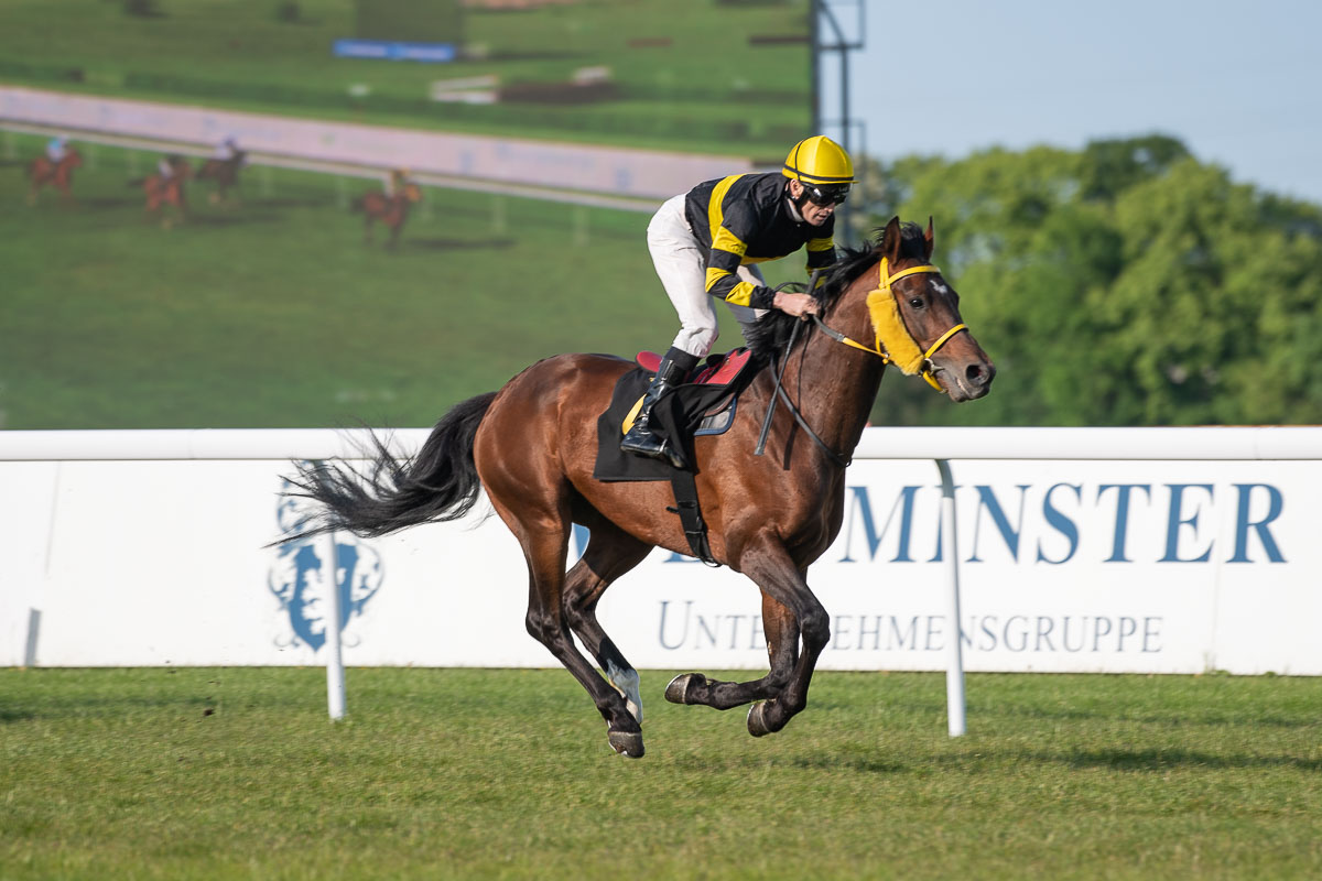 img: Dobry bieg Sjabahara ‘OA’ w Niemczech
