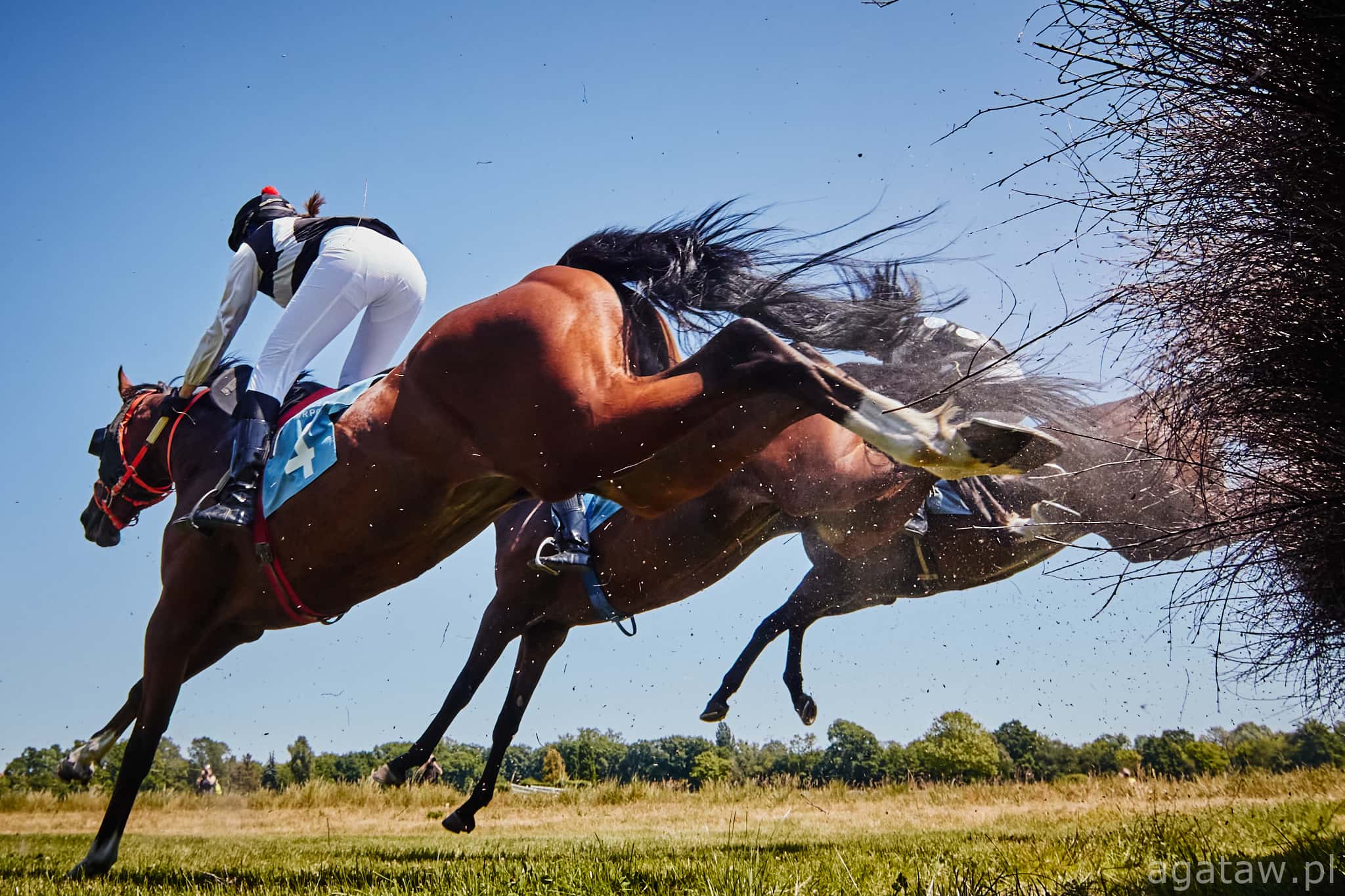 img: Pierwszy mityng po przerwie z końską dawką emocji