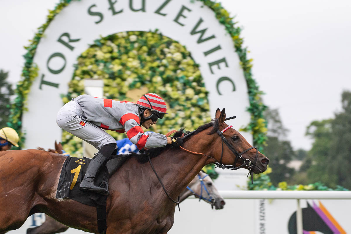 img: Zwycięski kwartet z Partynic