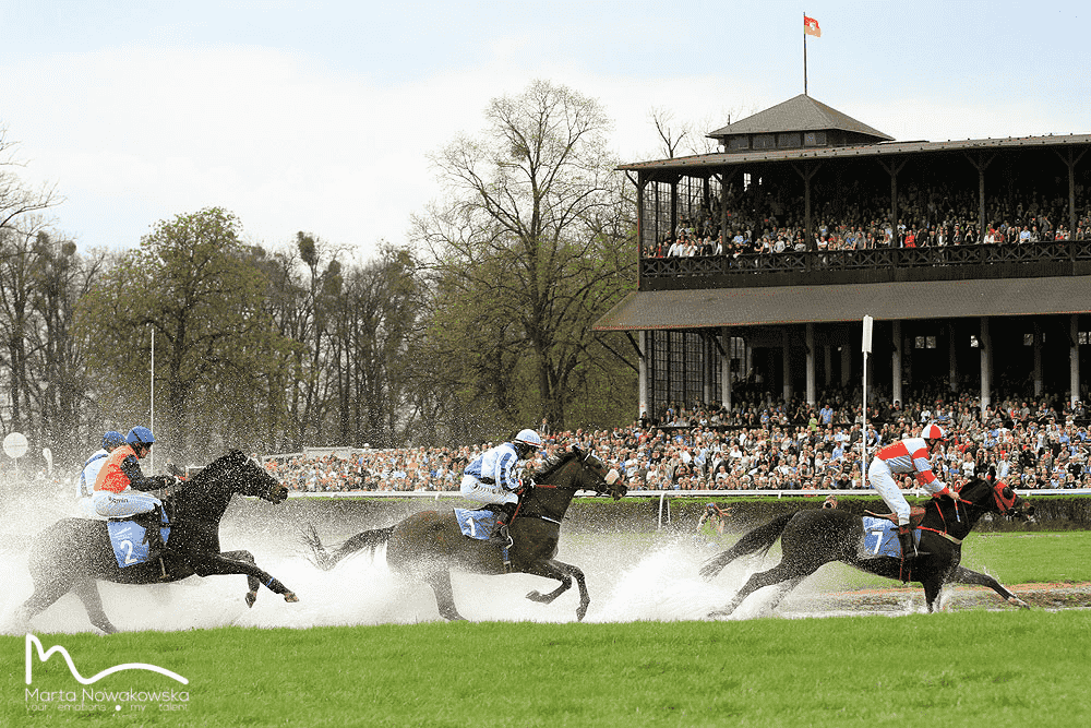 img: Wielka Wrocławska i Wielka Partynicka w silnej międzynarodowej obsadzie