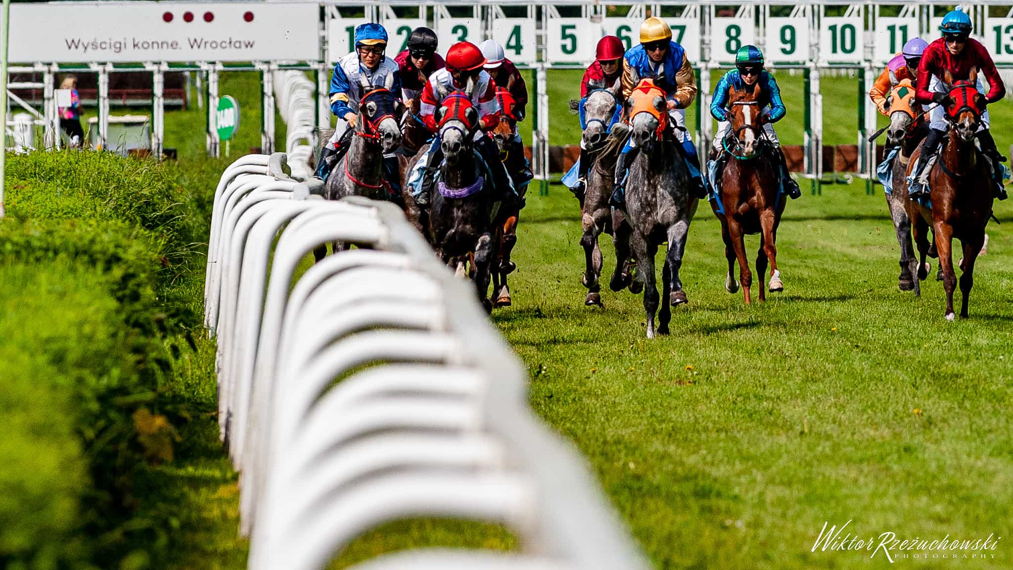 img: Sobota na Służewcu z licznym udziałem koni z Partynic