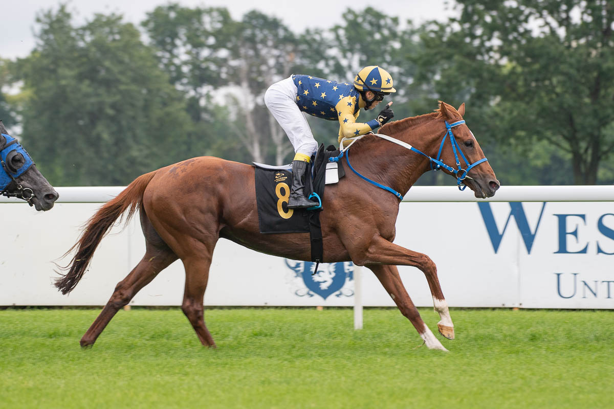 img: Nagroda Łeb w Łeb z udziałem Proletariusa