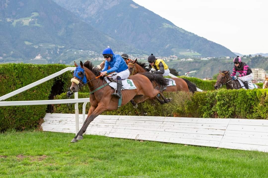 img: Piękny sukces Nabila i trenera Pałczyńskiego w Merano