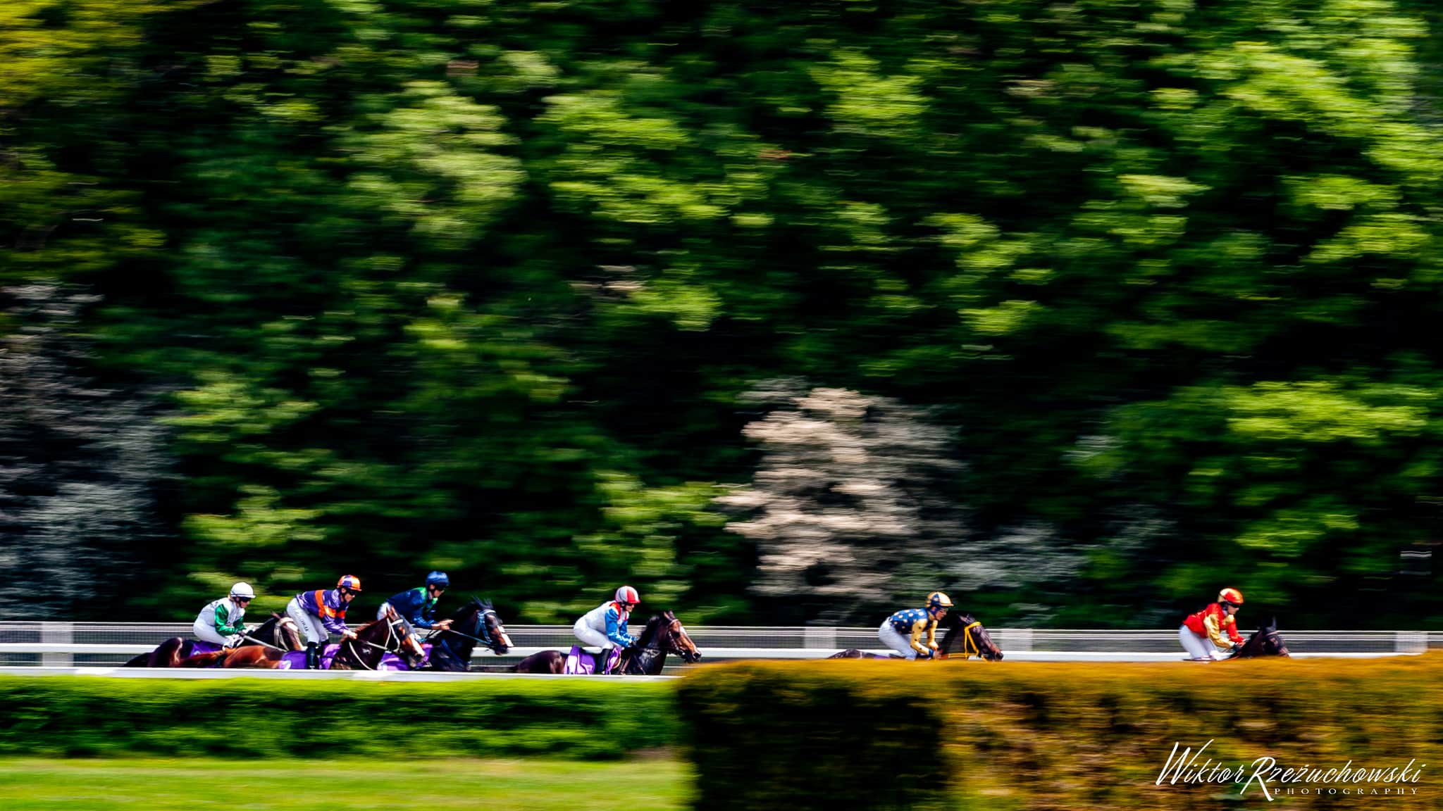 img: Konie z Anglii i Frankie Dettori na torze Kincsem Park w Budapeszcie