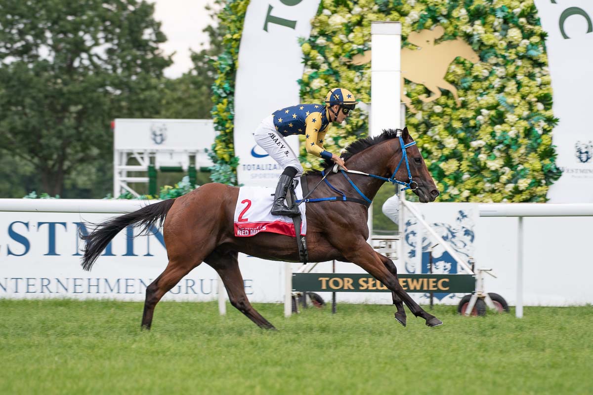 img: Partynicki Inter Approach faworytem Nagrody Dżudo