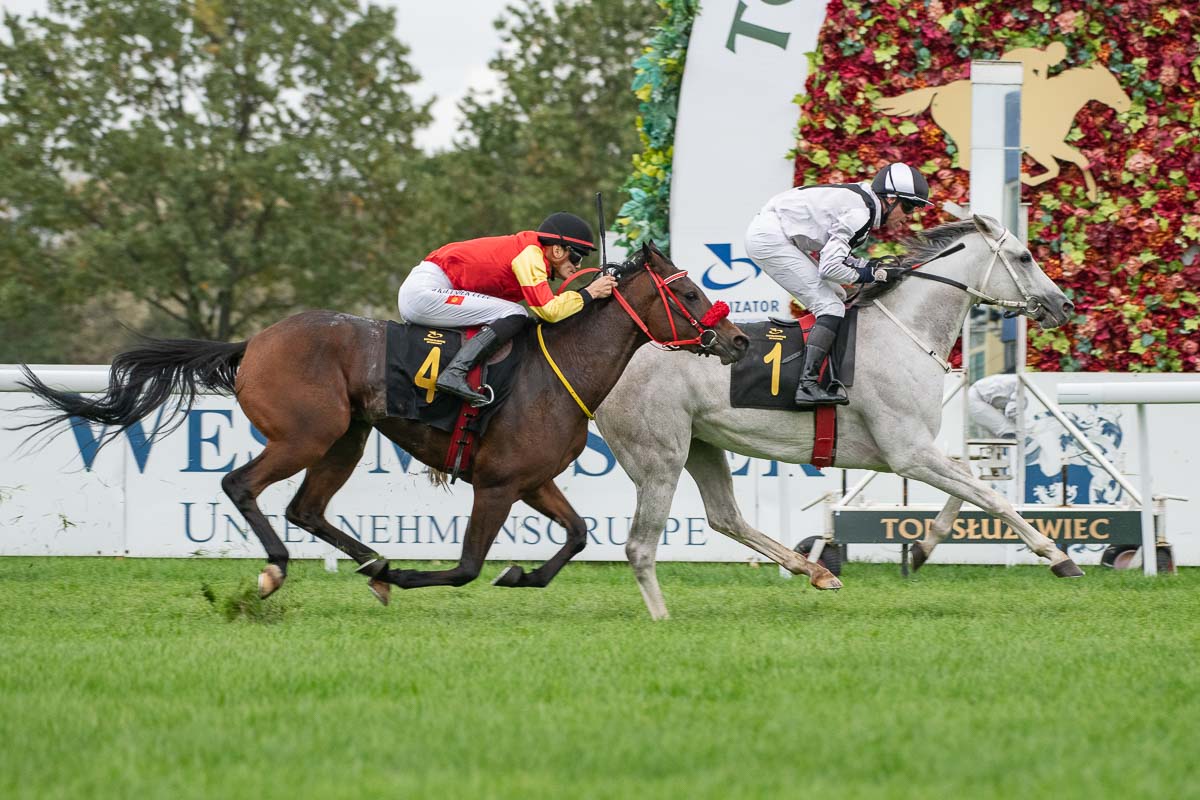 img: Faworyci z Partynic wygrywają: Ghyat Al Khalediah w walce, Dacinni z m do m