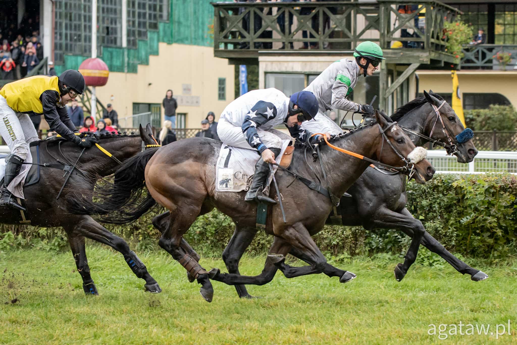 img: Her Him i Niklas Loven triumfują w Crystal Cup