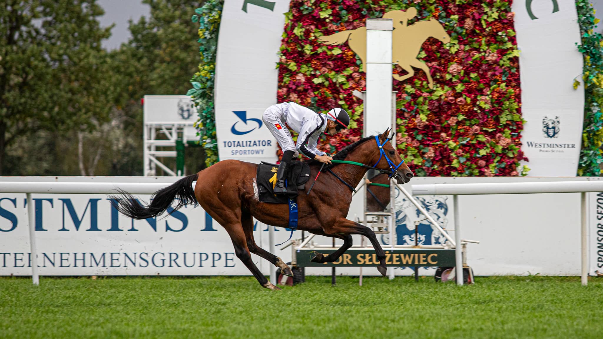 img: Wasmy Al Khalediah wygrał gonitwę Listed w Szwecji