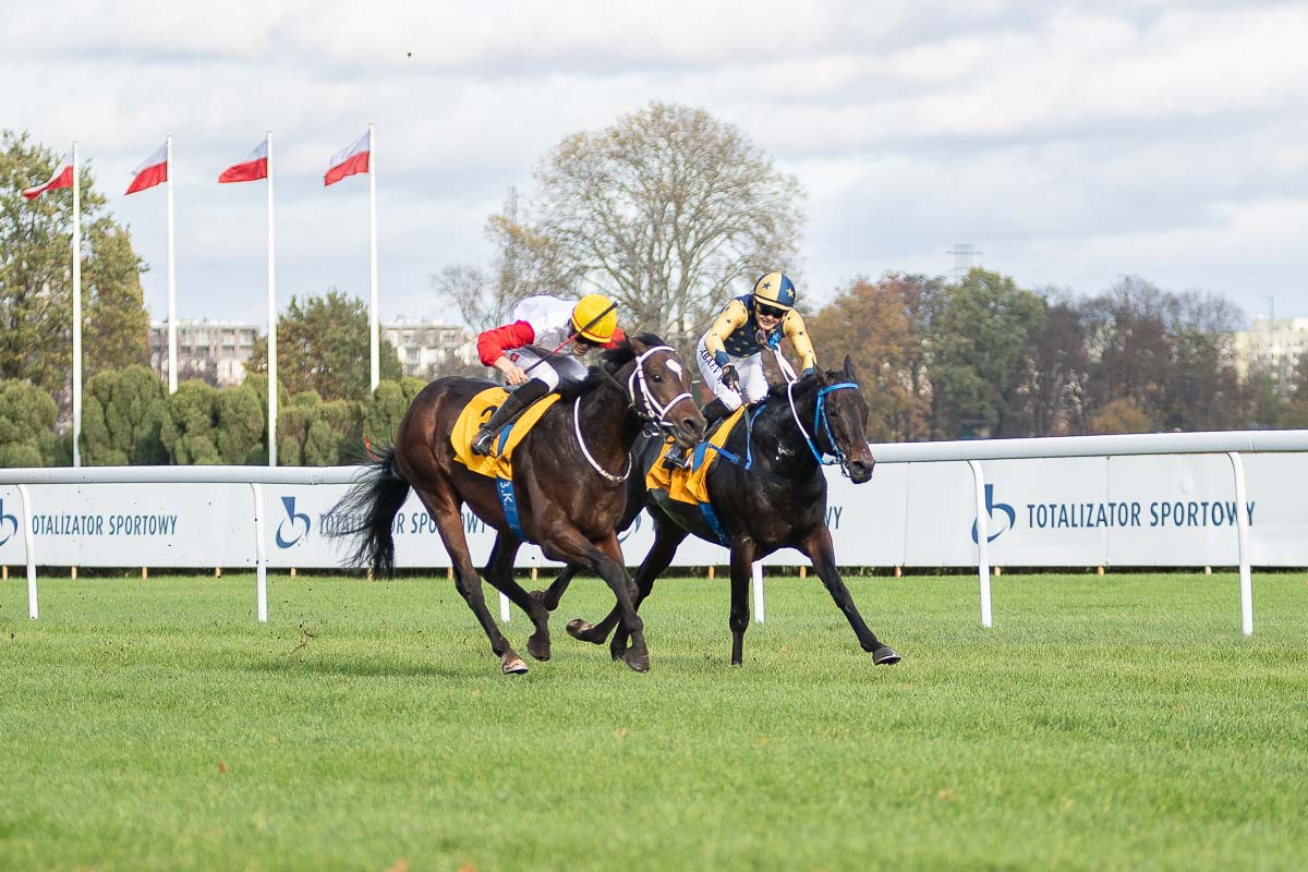 img: Plontier zwycięzcą najdłuższej gonitwy na Służewcu