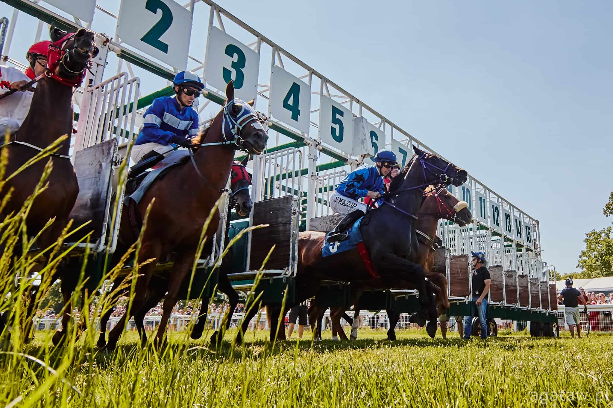 img: Ponad 200 koni z partynickich stajni wyścigowych szykuje formę na  nowy sezon