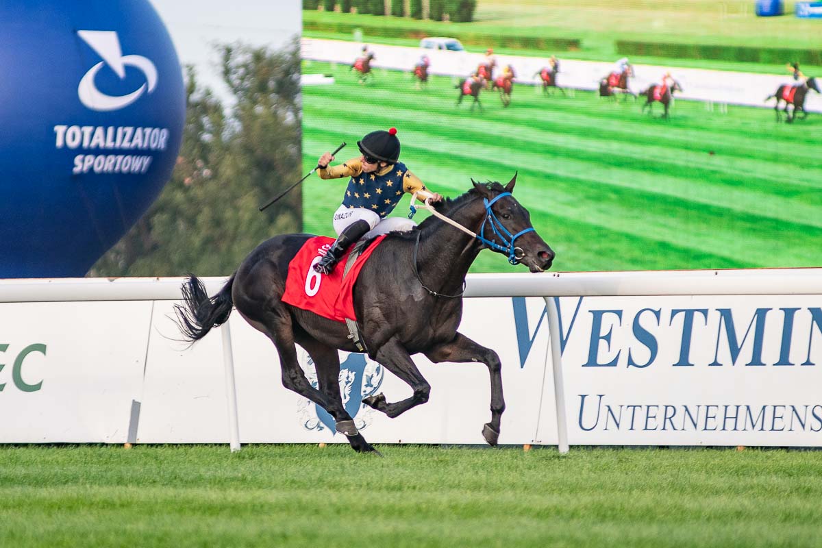 img: Szczepan Mazur wygrał w Katarze gonitwę dnia