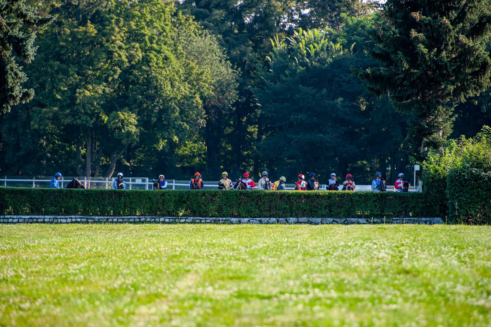 img: Cheltenham Festival: Cztery dni wielkiego przeszkodowego ścigania