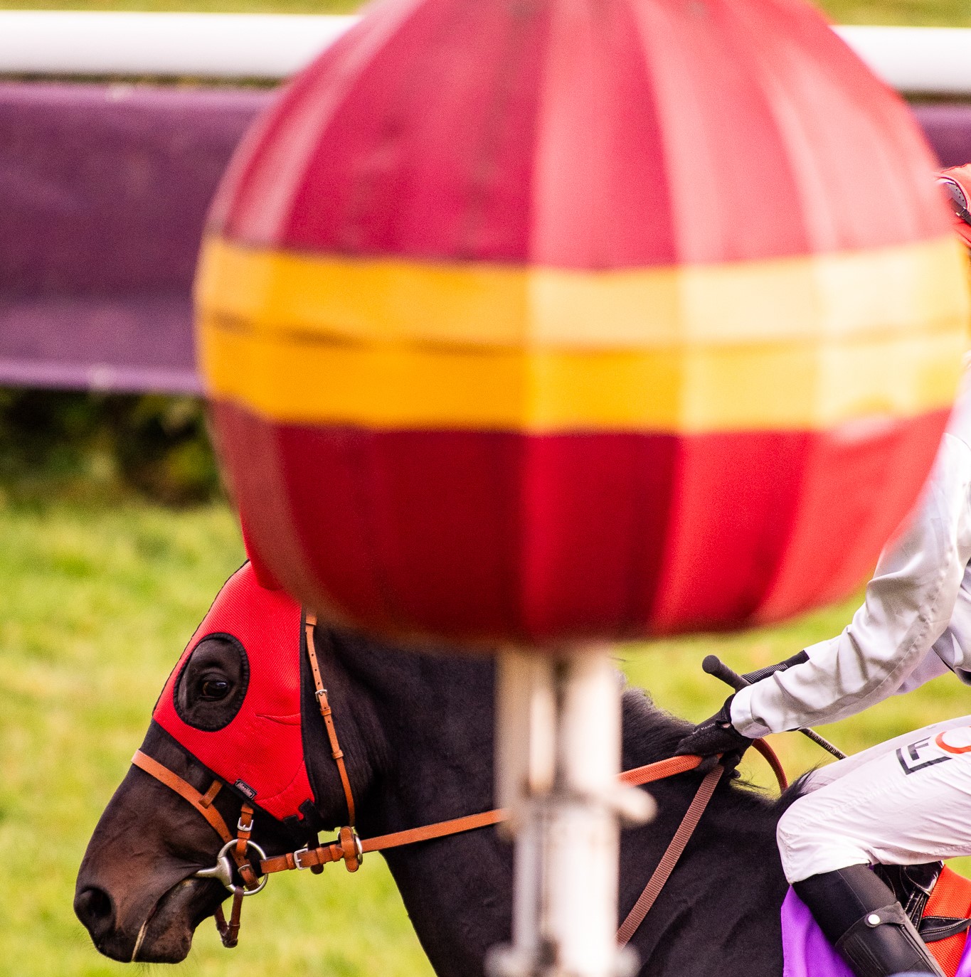 img: Mityng Breeders’ Cup bogatszy o dwa miliony dolarów